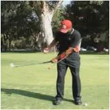 TALY Chipping - Push Pull the Red Ball